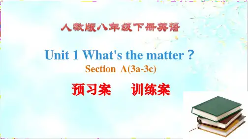 人教版八年级英语下册 Unit1 Section A(3a-3c)预习-训练案