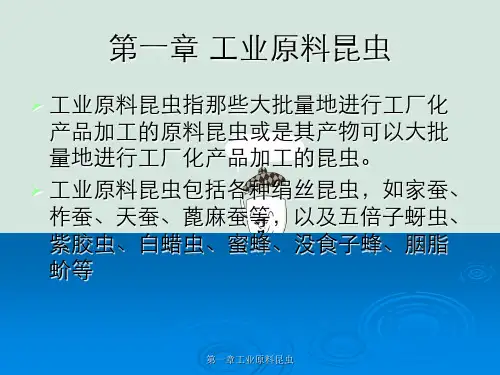 第一章工业原料昆虫