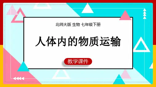 初中生物北师大版七年级下册《第3课时血液循环》课件