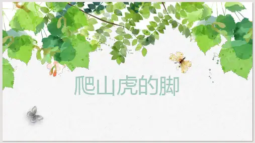 部编版语文四年级上册10《爬山虎的脚》课件(共24张PPT)