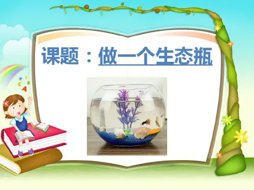 科学 制作一个生态瓶PPT课件