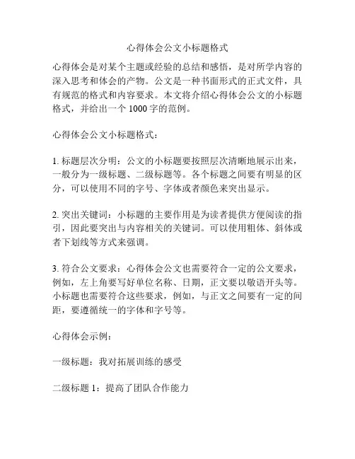 心得体会公文小标题格式