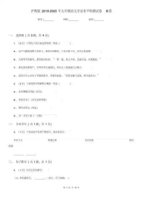 沪教版2019-2020年九年级语文学业水平检测试卷B卷.pdf