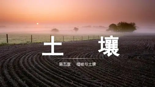 5.2土壤课件高中地理人教版(2019)必修一_1