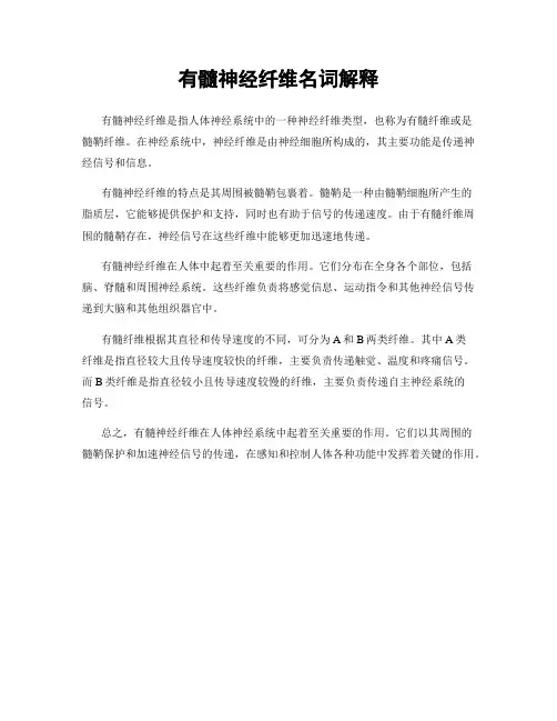 有髓神经纤维名词解释