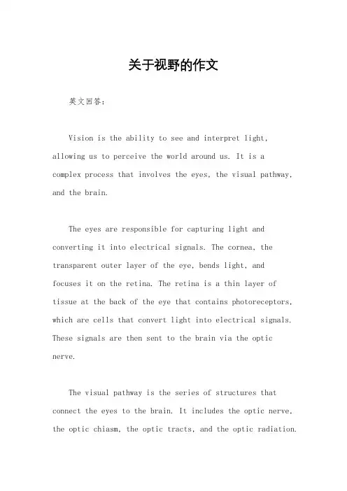 关于视野的作文