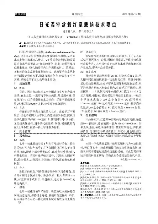 日光温室盆栽红掌栽培技术要点
