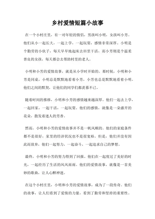 乡村爱情短篇小故事 2