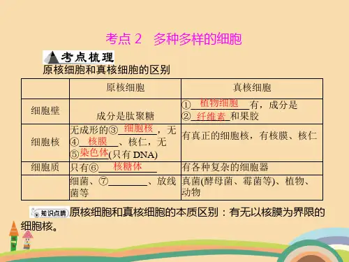 高二生物多种多样的细胞PPT教学课件