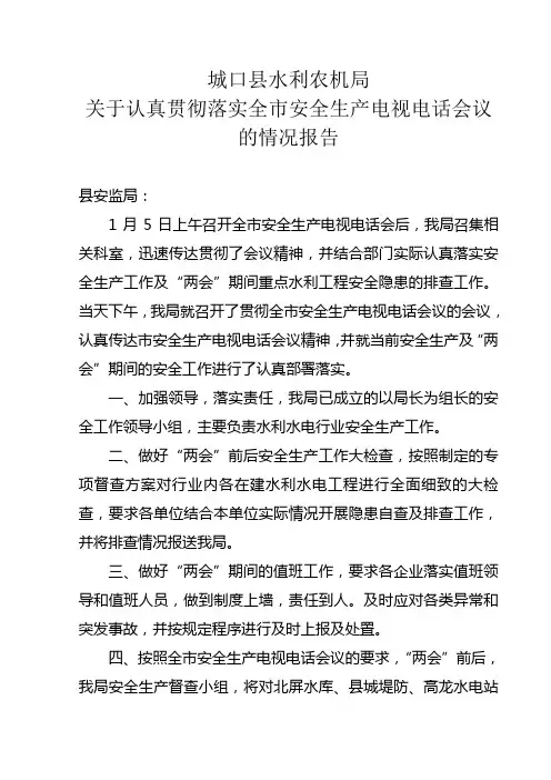 关于贯彻全市安全生产工作会议精神的情况报告