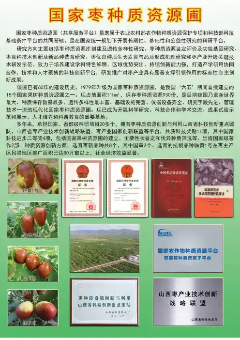 国家枣种质资源圃