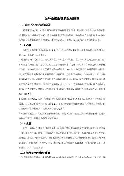 循环系统解剖及生理知识