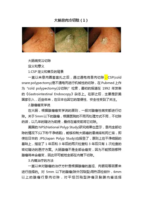 大肠息肉冷切除（1）