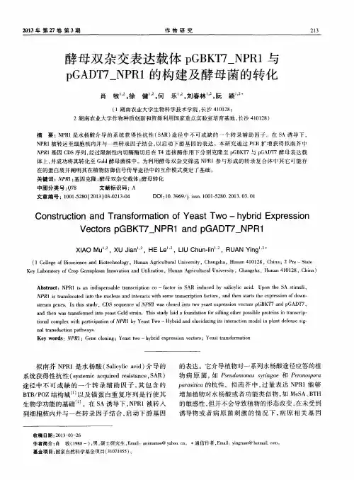 酵母双杂交表达载体pGBKT7_NPR1与pGADT7_NPR1的构建及酵母菌的转化