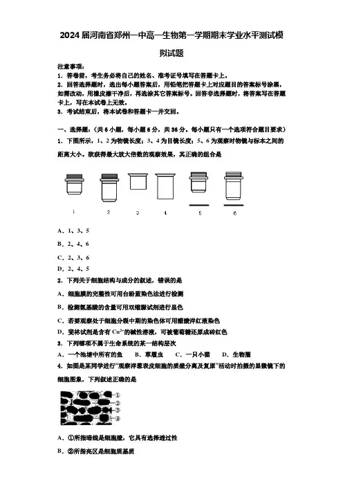 2024届河南省郑州一中高一生物第一学期期末学业水平测试模拟试题含解析