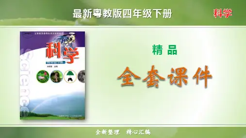 最新粤教版四年级科学下册全套精品课件