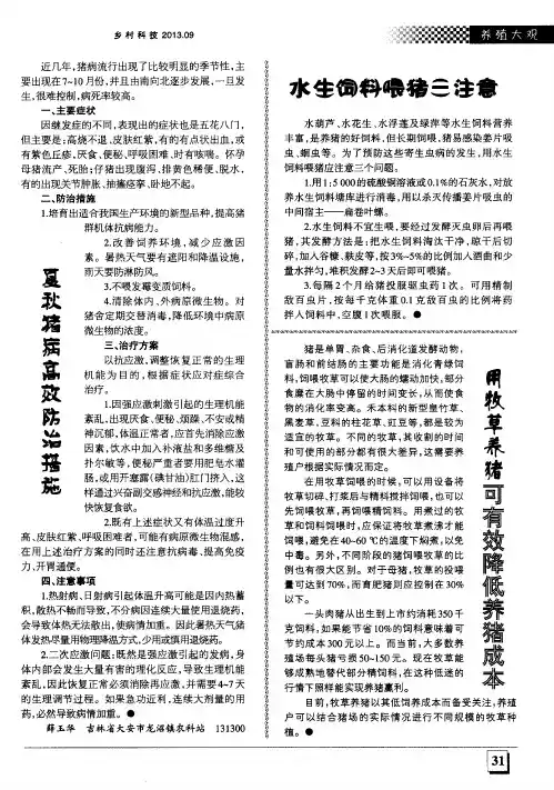 水生饲料喂猪三注意