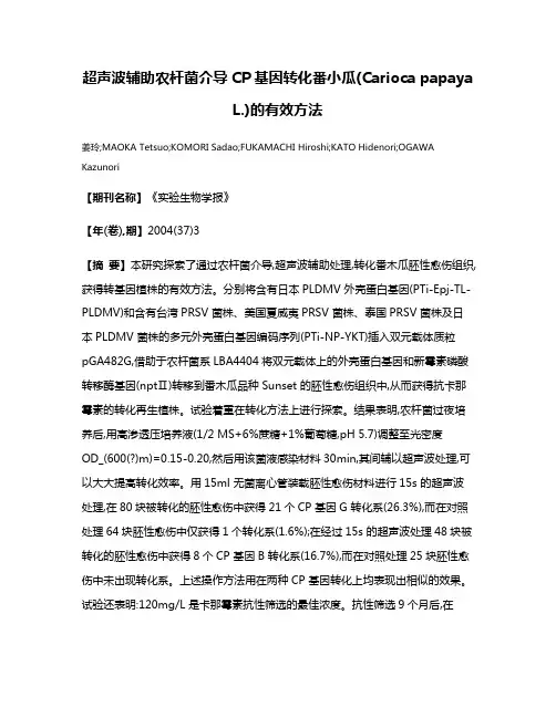超声波辅助农杆菌介导CP基因转化番小瓜(Carioca papaya L.)的有效方法