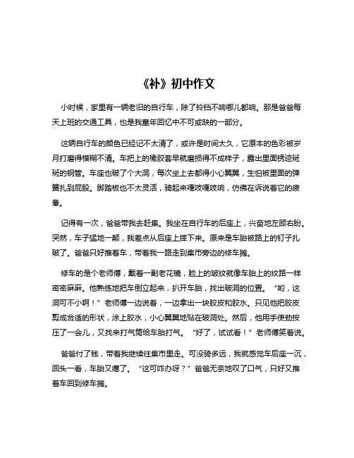 《补》初中作文