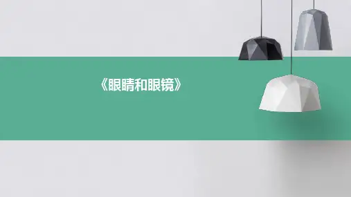 《眼睛和眼镜》PPT