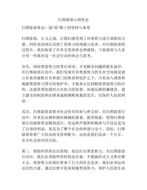扫黑除恶心得体会