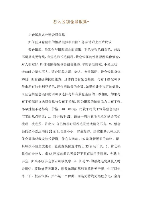 怎么区别仓鼠银狐--小仓鼠怎么分辨公母银狐