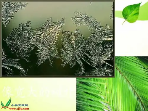 苏教版语文一年级上册《冰花》PPT课件2(精品课件)