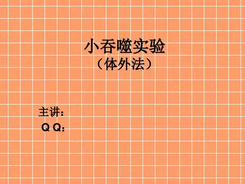 小吞噬实验