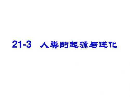 八年级生物21-3 人类的起源及进化(北师大)