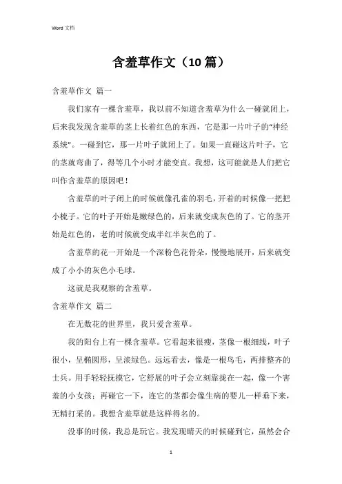 含羞草作文(10篇)