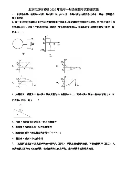 北京市达标名校2020年高考一月适应性考试物理试题含解析