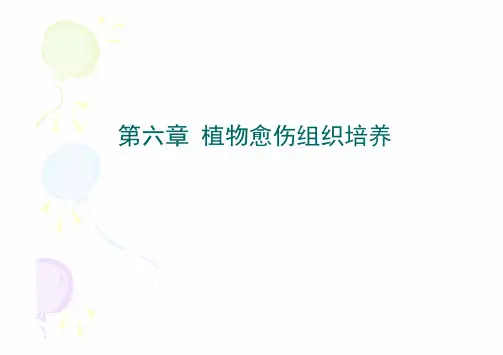 第六章植物愈伤组织培养