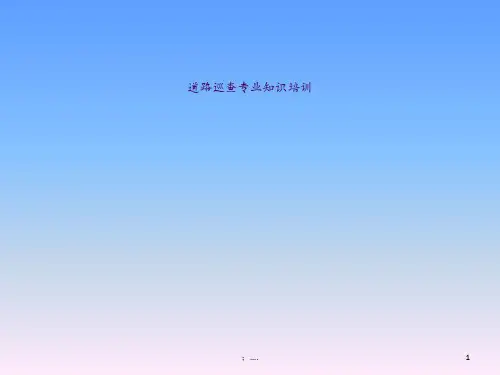 道路常见病害ppt课件