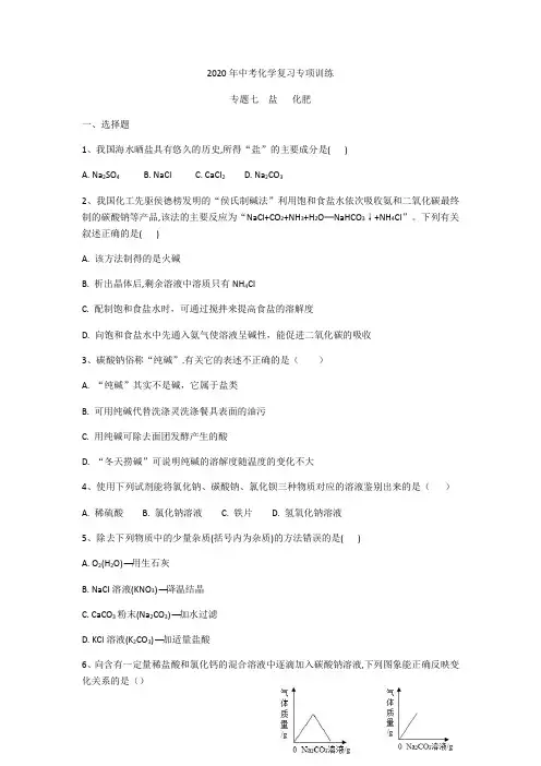 2020年中考化学复习专项训练     专题七   盐    化肥