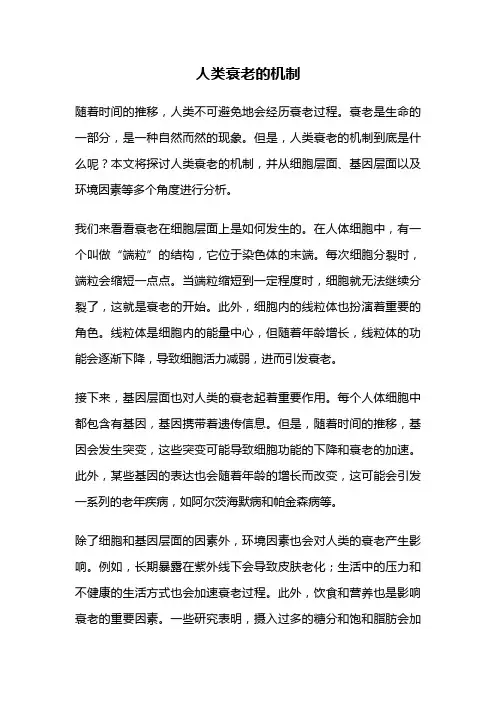 人类衰老的机制