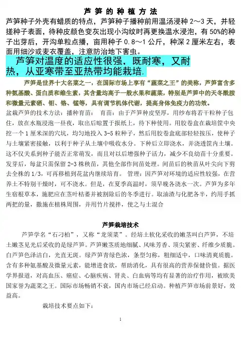 芦笋的种植方法