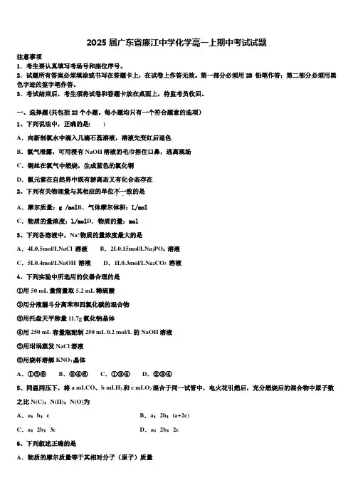 2025届广东省廉江中学化学高一上期中考试试题含解析