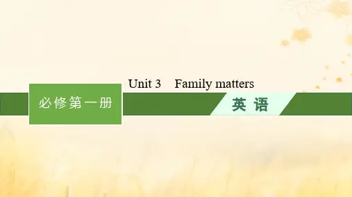 高考英语一轮总复习Unit3Familymatters课件外研版必修第一册