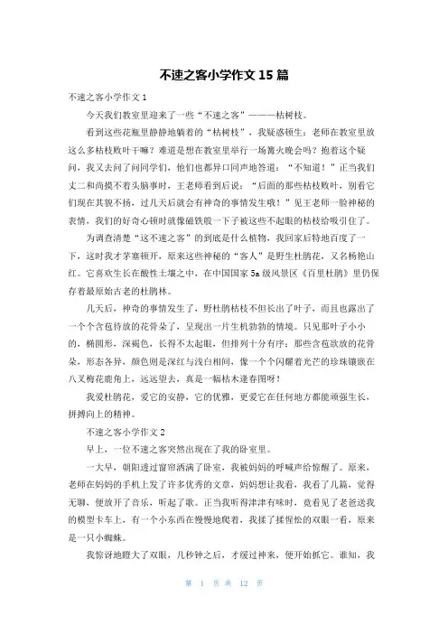 不速之客小学作文15篇
