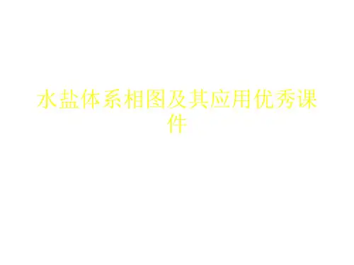 水盐体系相图及其应用优秀课件