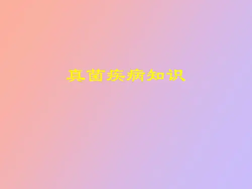 【精品课件】真菌疾病知识