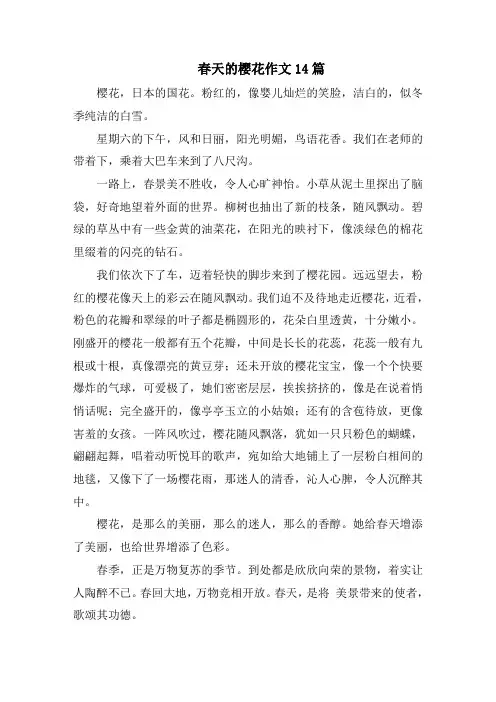 春天的樱花作文14篇范文精选