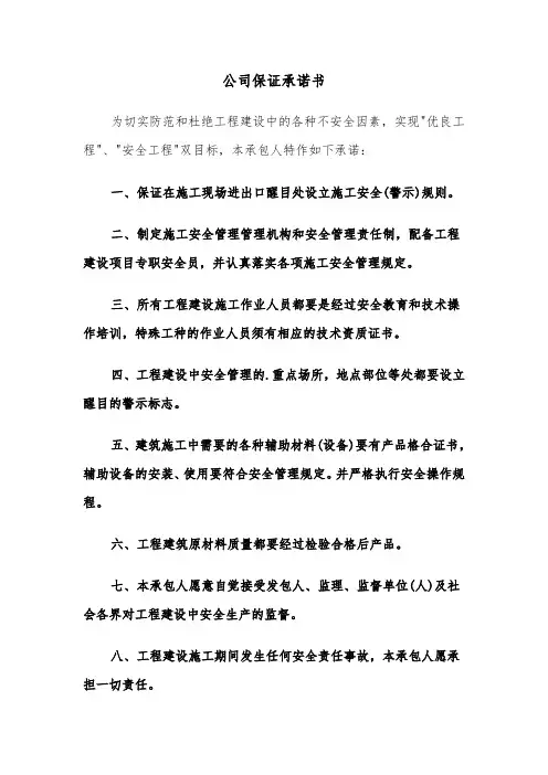 公司保证承诺书（五篇）