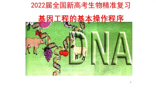 2022届全国新高考生物精准复习基因工程的基本操作程序
