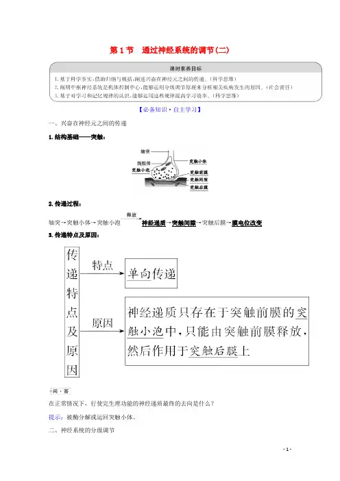 2020_2021学年高中生物第2章动物和人体生命活动的调节1通过神经系统的调节二