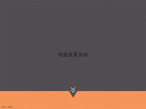 电能质量知识讲课文档