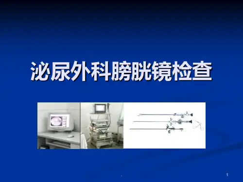 泌尿外科膀胱镜检PPT课件