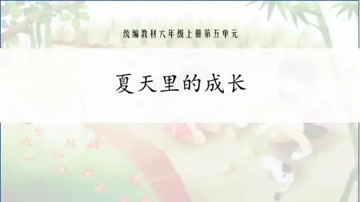 六年级语文上册课件-15《在夏天里成长》人教部编版(共13张PPT)