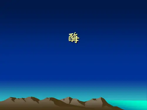 酶的命名和分类