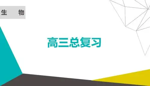 2019届一轮复习人教版 第十六讲基因的自由组合定律 课件